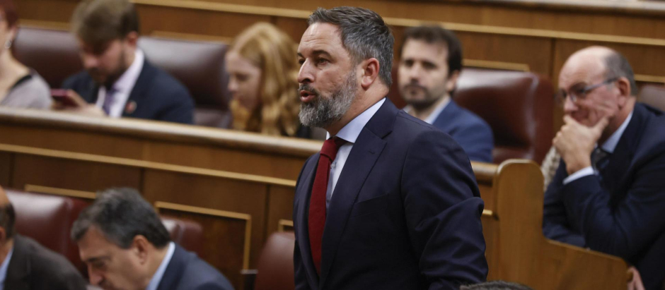 El líder de Vox, Santiago Abascal, en la investidura de Pedro Sánchez