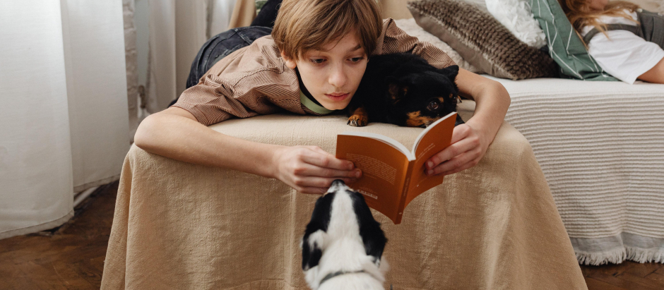 Un niño lee mientras su perro llama su atención