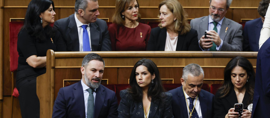 Diputados y senadores de Vox durante la apertura de la XV legislatura