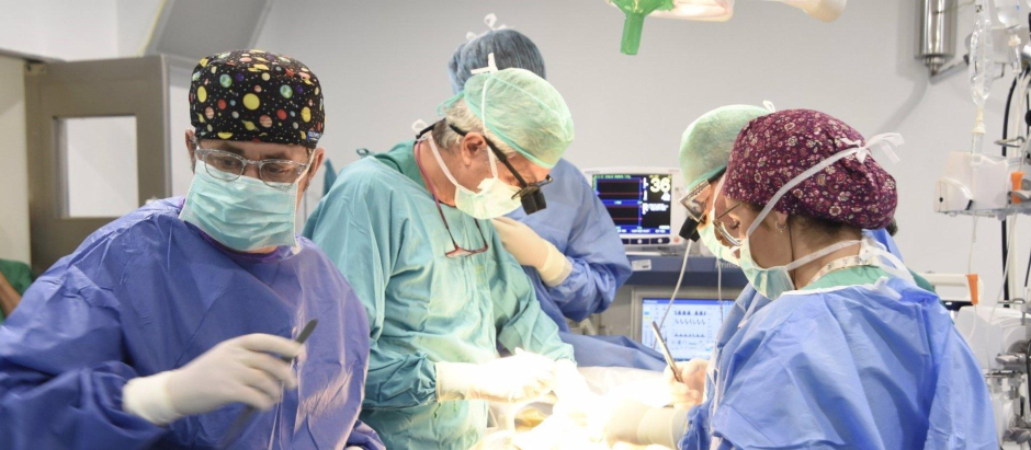 Profesionales sanitarios durante un trasplante