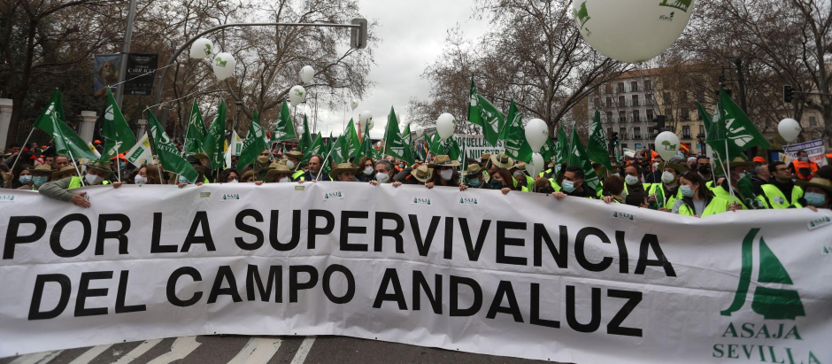 Asaja, en la manifestación en defensa del campo, en Madrid

Asaja en la manifestación por la defensa del campo en Madrid | Europa Press