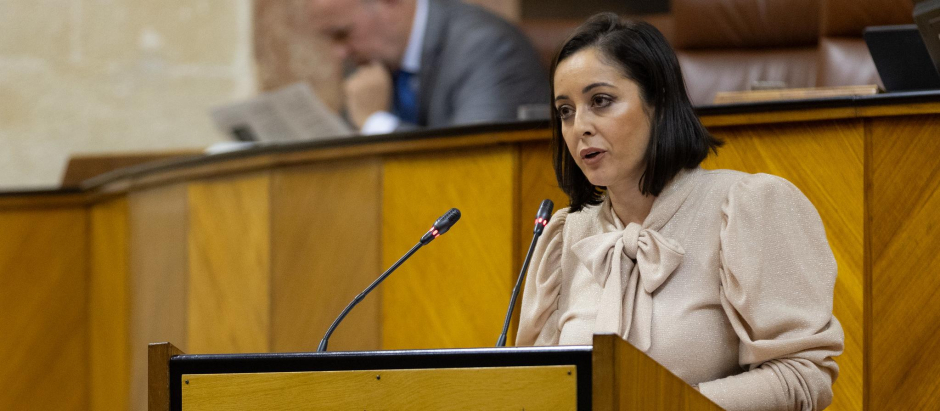 La diputada de Vox Mercedes Rodríguez Tamayo, durante el debate en el Parlamento andaluz