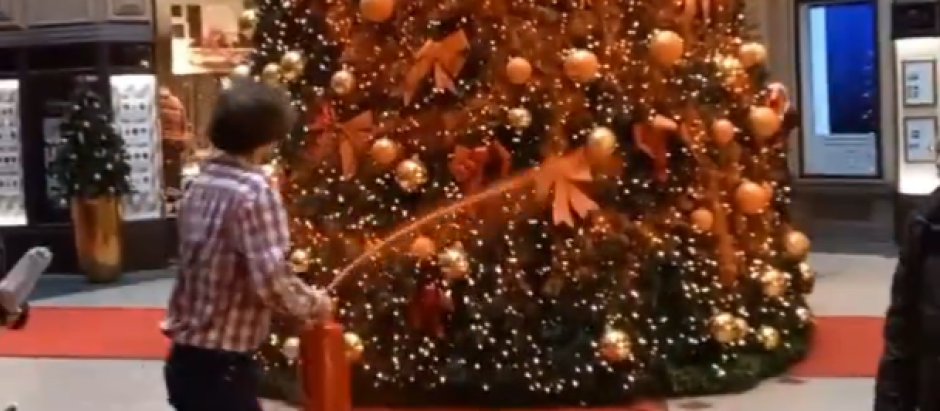 Un activista de Letzte Generation rocía con pìntura naranja un árbol de Navidad en Alemania