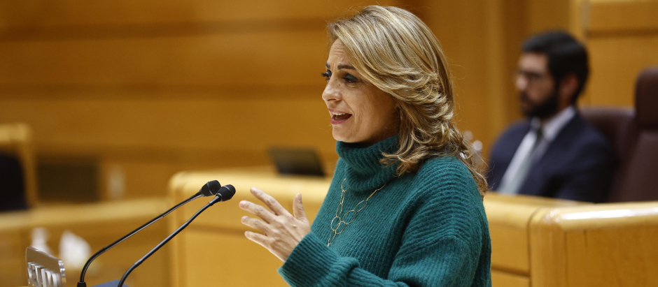 La diputada de Coalición Canaria, Cristina Valido, este miércoles en el Senado
