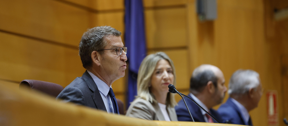 Alberto Núñez Feijóo, el pasado martes en el Senado