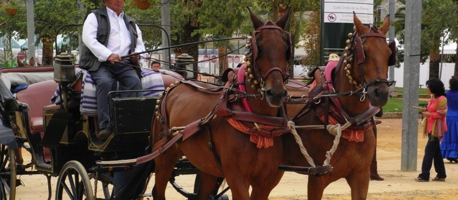 Carros de caballos Feria de Sevilla