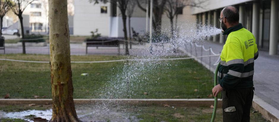 Operarios del Ayuntamiento de Barcelona riegan con agua freática, el denominado riego de supervivencia
