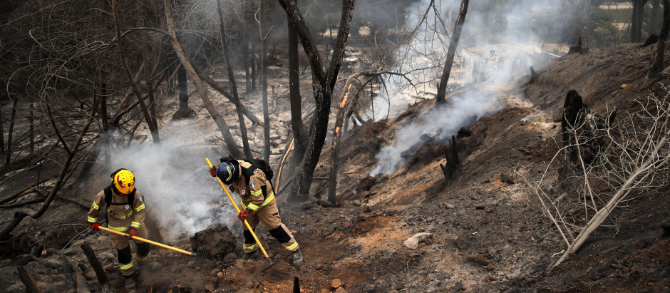 Los bomberos trabajan en el Jardín Botánico después de un incendio forestal en Viña del Mar