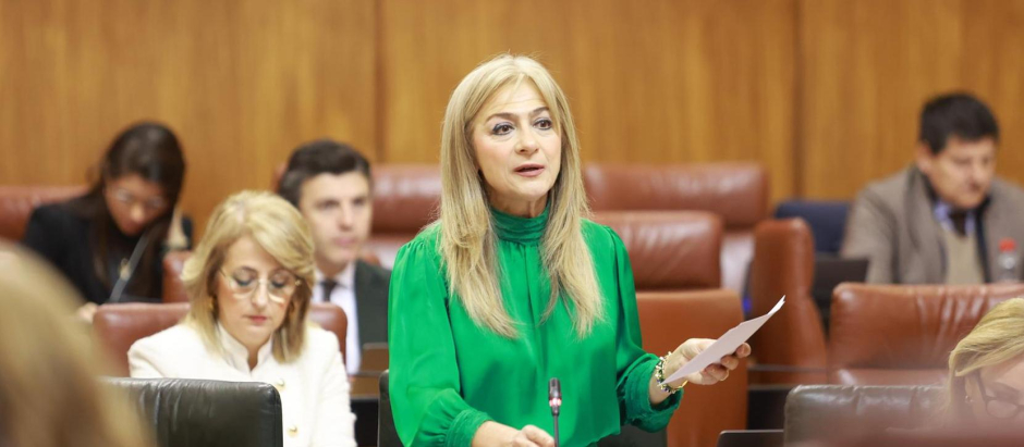 La consejera de Desarrollo Educativo de la Junta, Patricia del Pozo, en el pleno del Parlamento de Andalucía