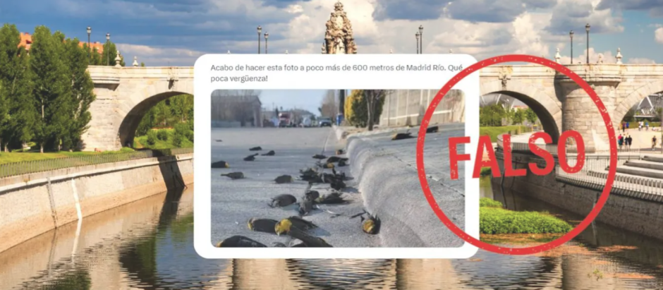 Esta imagen de pájaros muertos en el suelo no guarda relación con la mascletá de Madrid