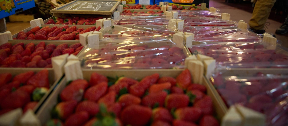 Fresas en un expositor de una frutería en un mercado