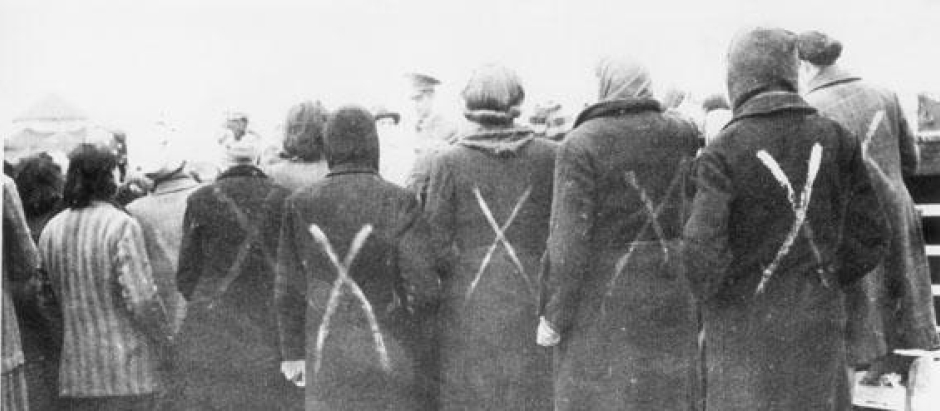 Supervivientes prisioneras del campo de concentración de Ravensbrück son seleccionadas por la Cruz Roja para su liberación