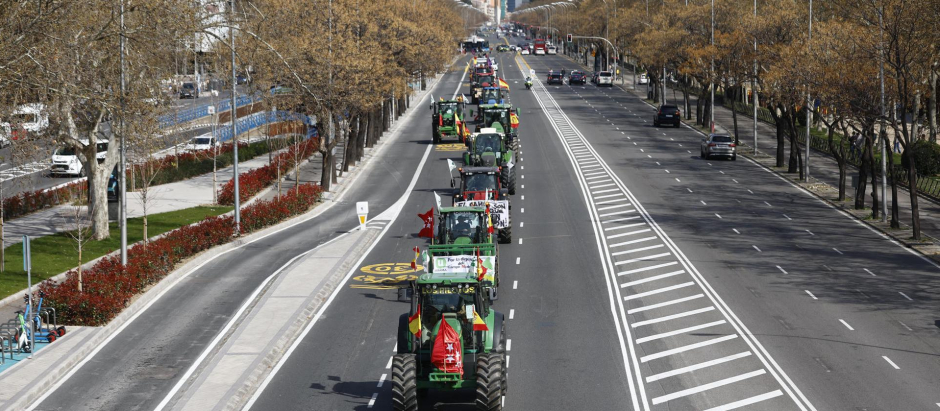 Varios tractores a su paso por el Paseo de la Castellana este domingo en Madrid. Los tractores vuelven a circular por el centro de Madrid en un nuevo acto de protesta