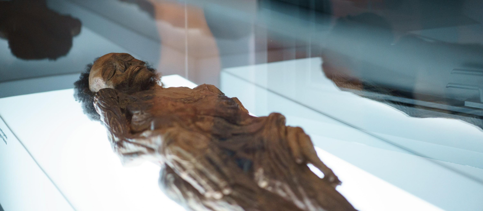El Parlamento de Canarias reclama la devolución de la momia guanche del Museo Arqueológico Nacional