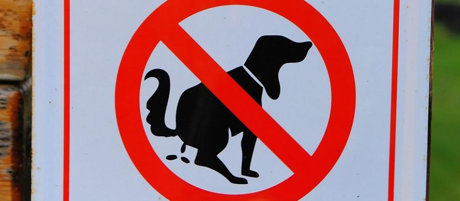 cartel contra excrementos de perro