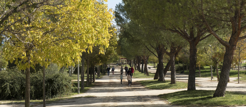 Este parque es uno de los más extensos del distrito de Hortaleza