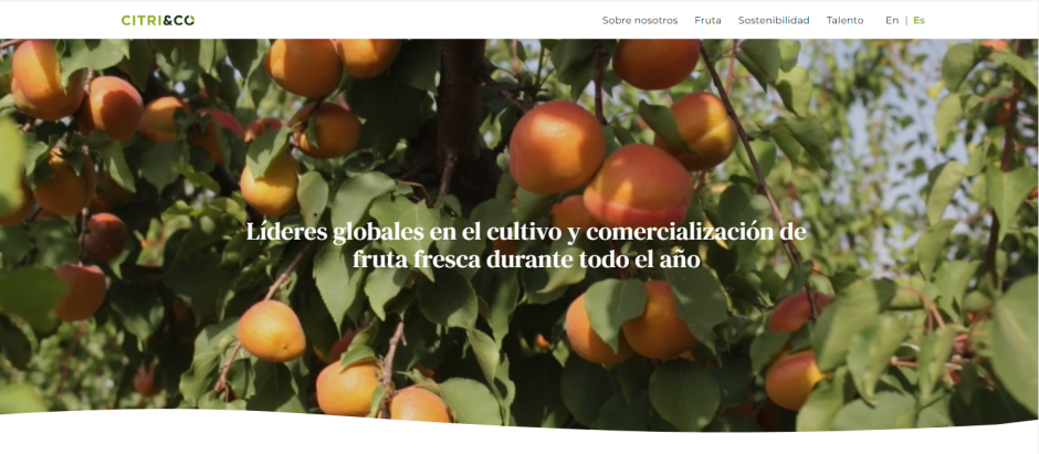 Web de Citri&Co.