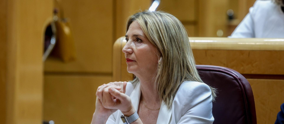 La portavoz del Partido Popular en el Senado, Alicia García