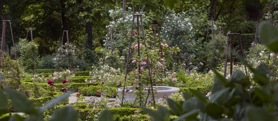 Imagen general de La Rosaleda del Real Jardín Botánico