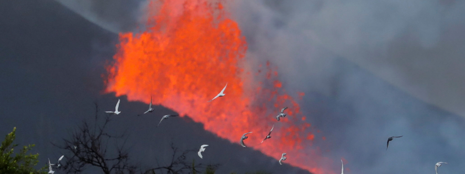 Erupción del volcán de Cumbre Vieja en La Palma