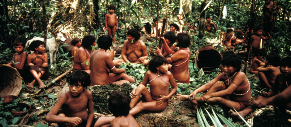 Grupo de indígenas yanomani en medio de la selva en Brasil