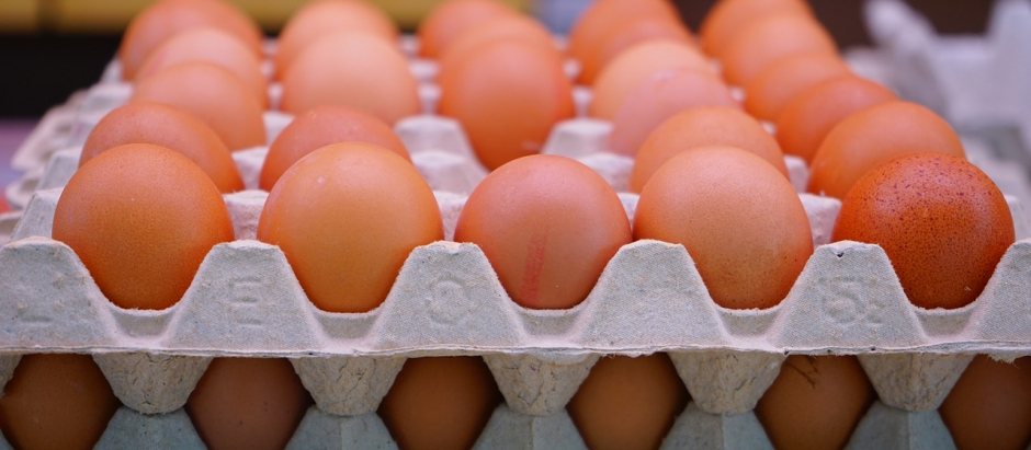 Cómo saber si un huevo es fresco por cómo flota o por la posición