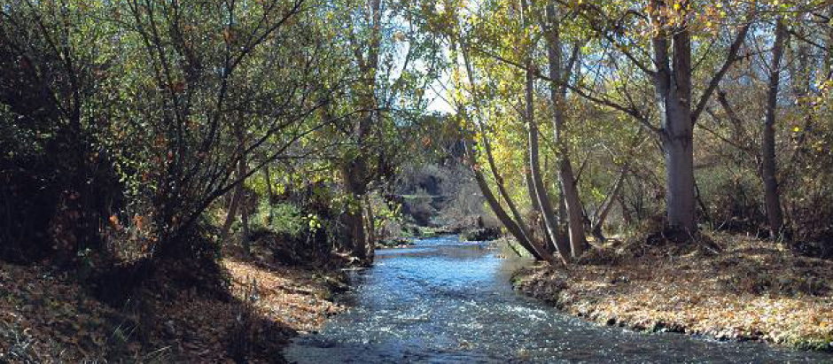 Parque Regional del Curso Medio del río Guadarrama