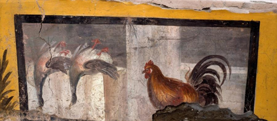 Gallo pintado en un thermopolio de Pompeya