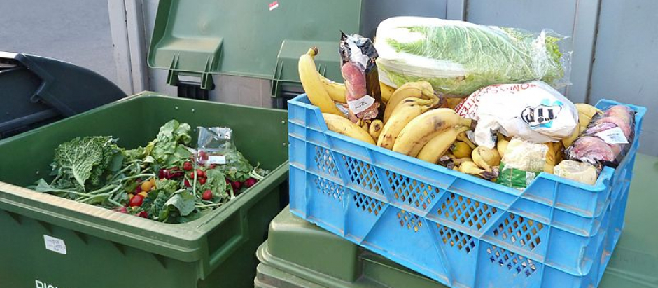 Una caja llena de verduras y frutas que se han tirado de un supermercado