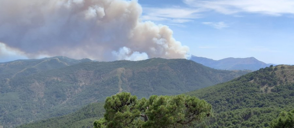 Vista del incendio declarado este miércoles en Pujerra (Málaga), en pleno corazón de Sierra Bermeja
