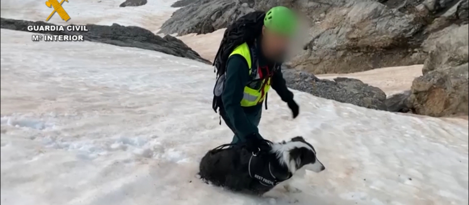 Rescate de un perro atrapado en Picos de Europa