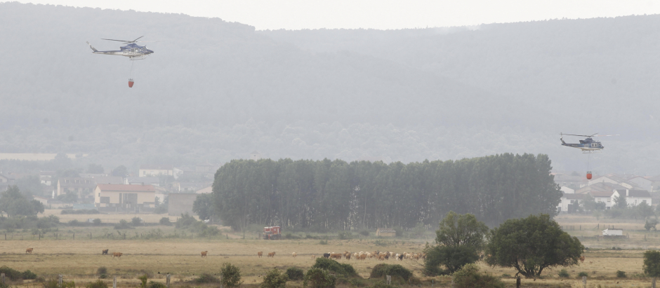 FERRERAS DE ABAJO (ZAMORA), 18/06/2022.- El incendio forestal declarado el pasado miércoles por la noche en la reserva de la Sierra de la Culebra, en la provincia de Zamora a causa de los rayos de una tormenta, ha carbonizado ya cerca de 20.000 hectáreas, en su mayoría de superficie forestal arbolada de pino, monte bajo y matorral. La nueva estimación de superficie arrasada por las llamas la ha realizado la Consejería de Medio Ambiente de la Junta de Castilla y León en función de la imagen de la zona captada este sábado por la mañana por el helicóptero de coordinación de las tareas de extinción.EFE/Mariam A. Montesinos