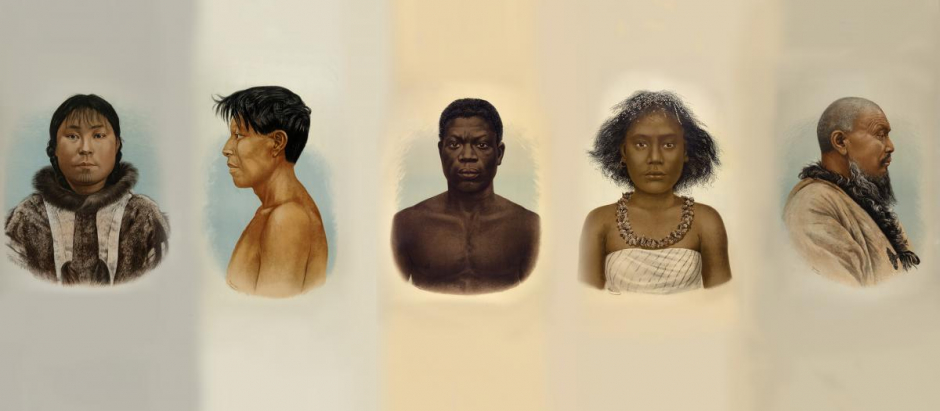 'No existe la raza, existe el racismo', reza este cuadro en el Museo de los Trópicos, en Ámsterdam, Holanda