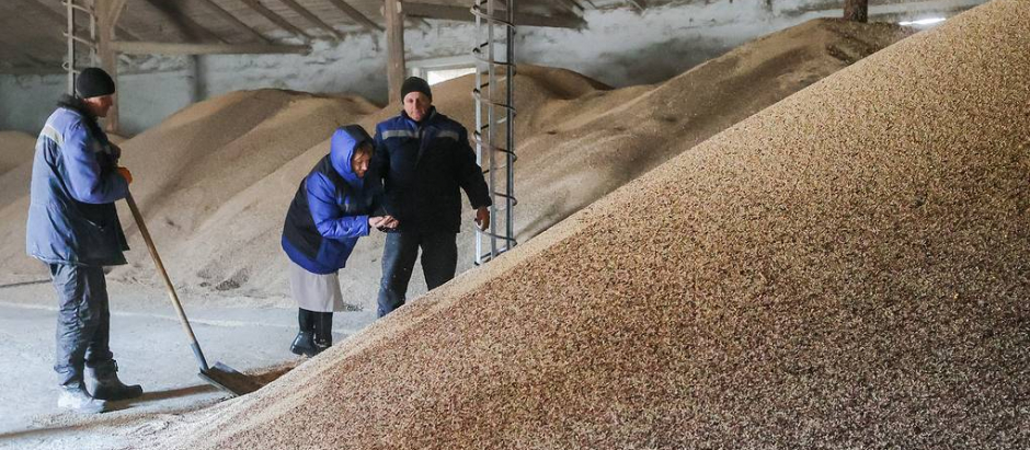 Cereales exportados desde puertos controlados por Rusia