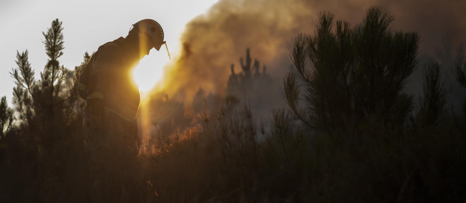 Un bombero intenta apagar el fuego de Verín, que ha calcinado 600 hectáreas.