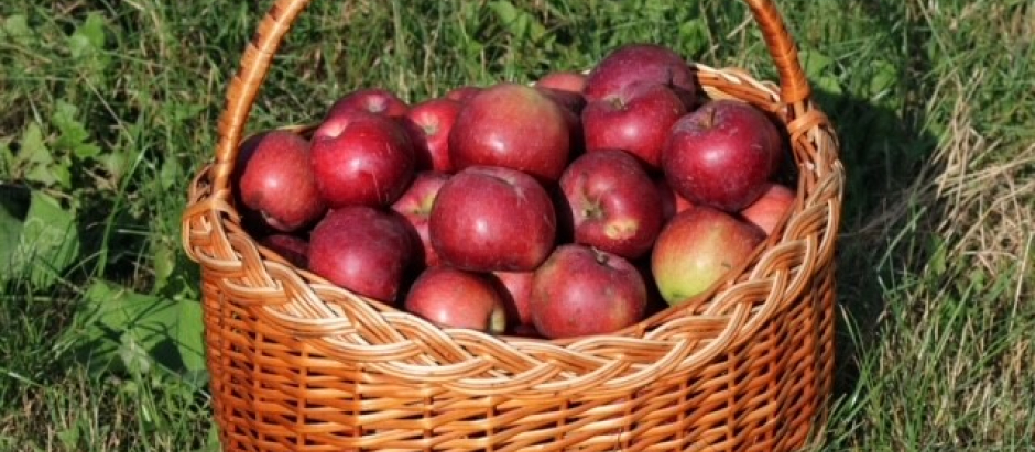 Una cesta de mimbre llena de manzanas