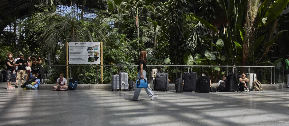 Pasajeros esperan con sus maletas frente a las palmeras del Jardín Tropical de la estación de Atocha