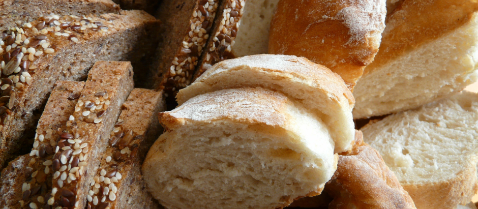 Aunque exista una gran variedad de panes, la duda nos asalta en el supermercado fundamentalmente entre dos opciones: pan blanco o integral