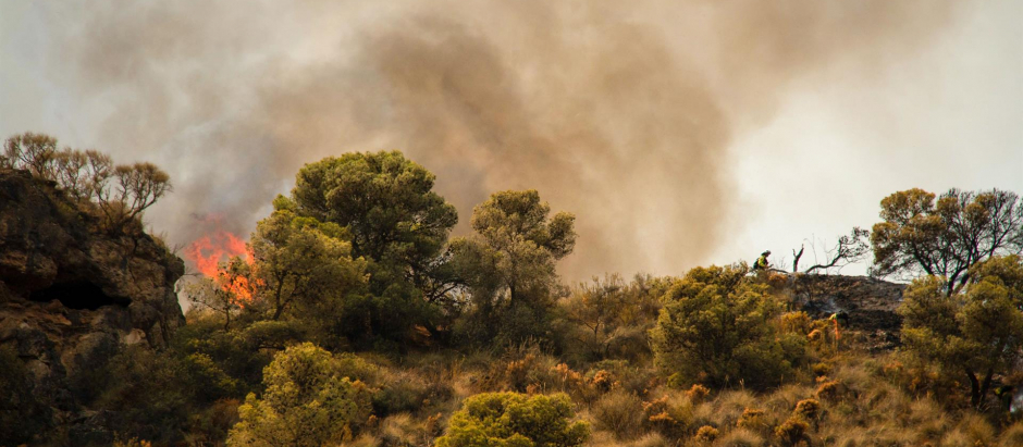 Medios aéreos y terrestres del Infoca trabajan en la extinción de un incendio forestal declarado este jueves en un paraje de Los Guájares