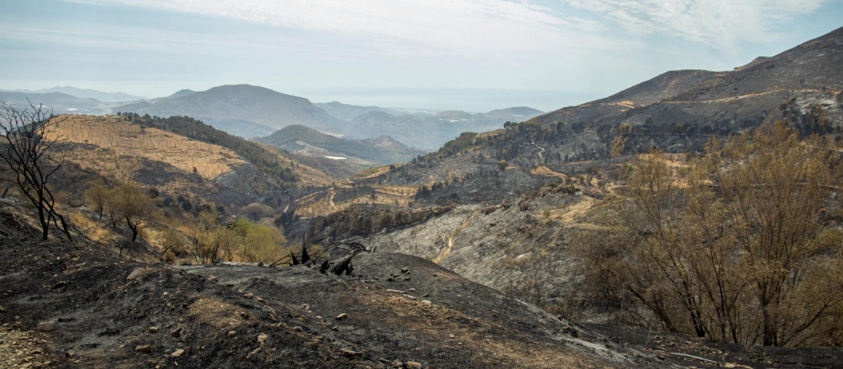 Vista general de la zona afectada por el incendio de Los Guájares (Granada), este miércoles