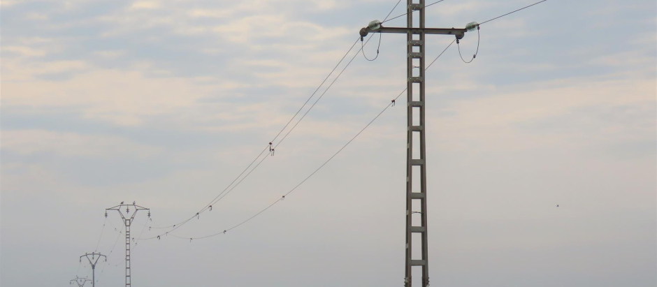 Algunas de las torres de la red de tendido eléctrico de España