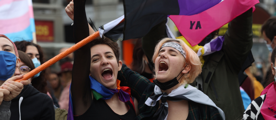 Manifestantes a favor de la ley trans en una imagen de archivo