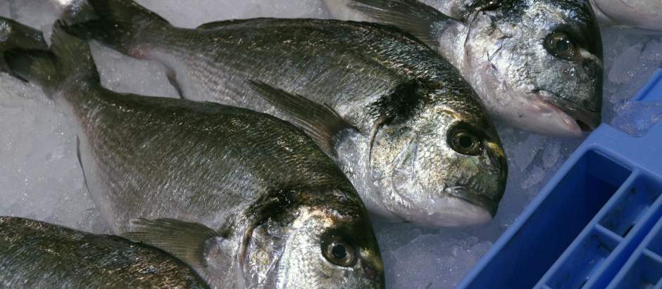 La dorada es uno de los 13 pescados que no excede los niveles de mercurio