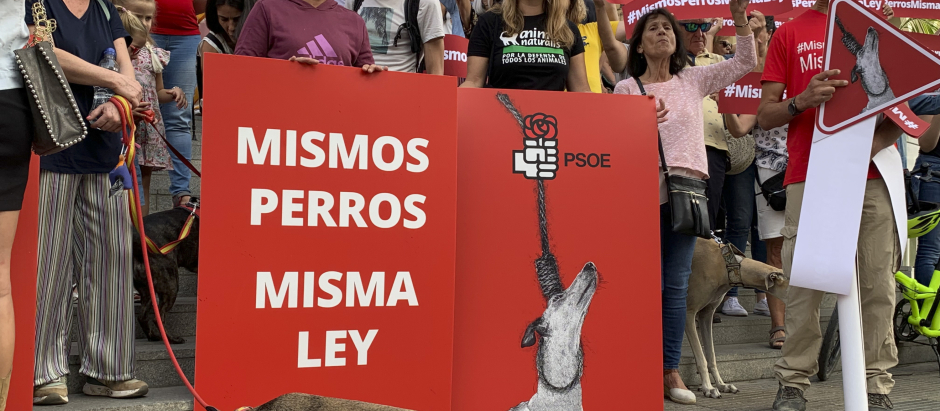 Activistas con carteles en los que un galgo ahorcado cuelga del logotipo del PSOE en protesta por la enmienda socialista en la Ley de Bienestar Animal