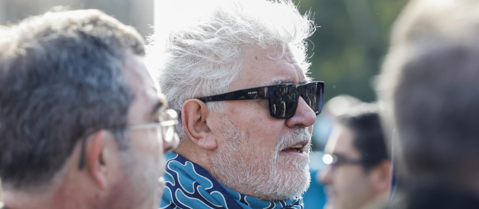 El director de cine Pedro Almodóvar en la manifestación del domingo por la sanidad pública