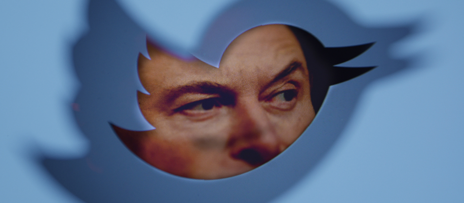 Elon Musk con un logo de Twitter sobre su cara
