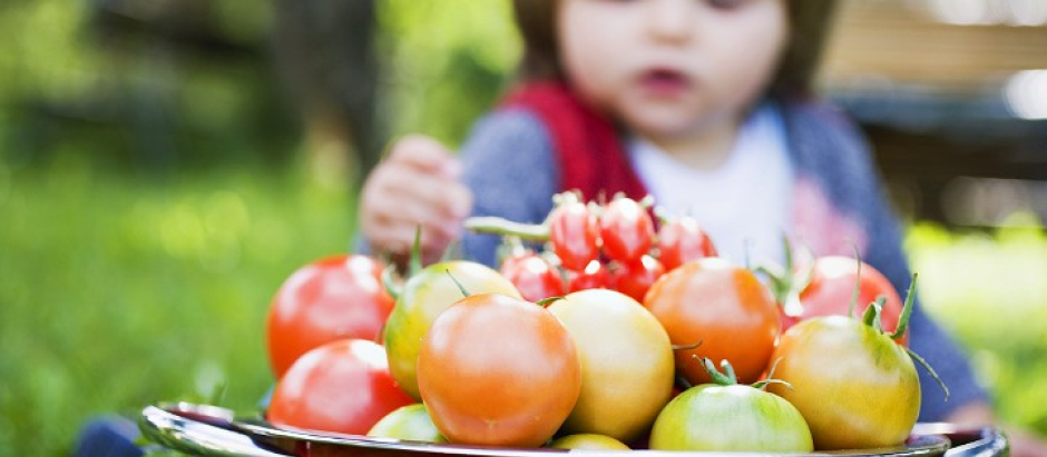 España es de los países de la UE que más pesticidas consume a través de frutas y verduras