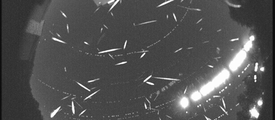 Se registran más de 100 meteoros en esta imagen de 2014