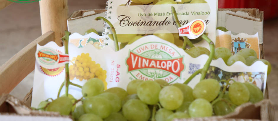 Un lote de uva de mesa del Vinalopó.