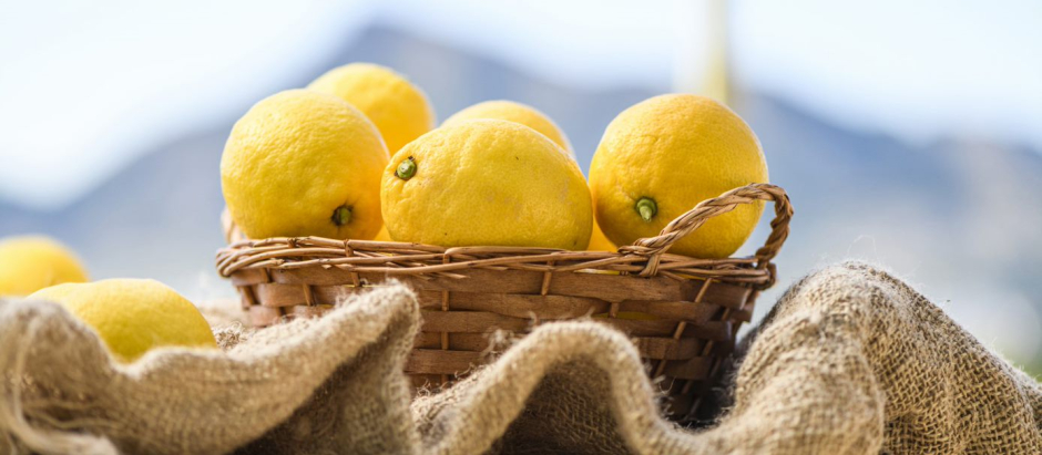 Recetas sanas con limón